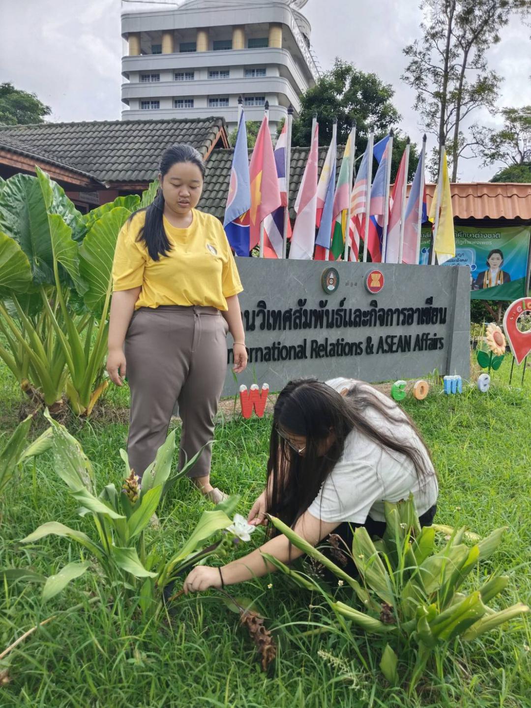 กิจกรรม IRAA Inter' Green Day