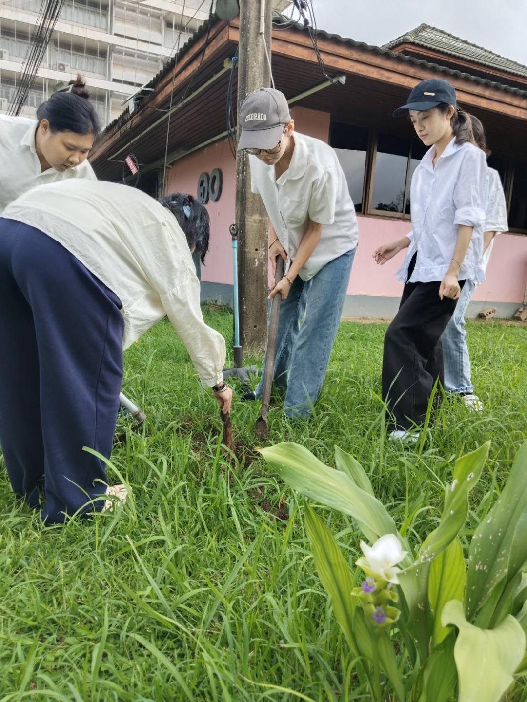 กิจกรรม IRAA Inter' Green Day